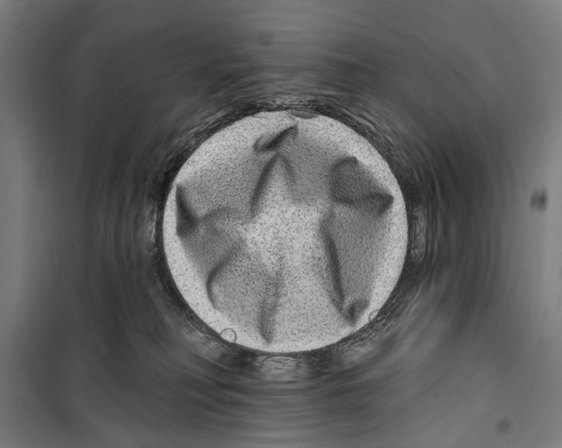 X0000099500230200806121423