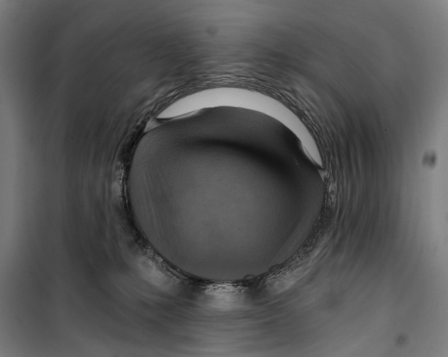 X0000099500231200806121423