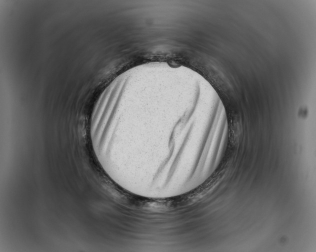 X0000099500232200806121423