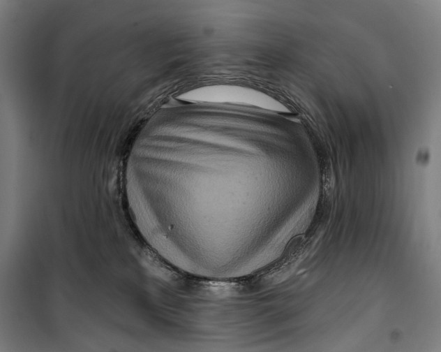 X0000099500233200806121423