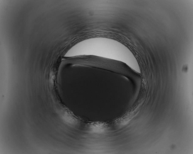 X0000099500235200806121423