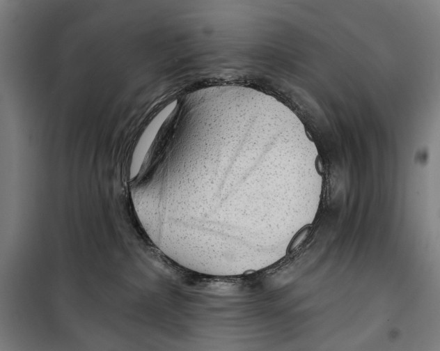 X0000099500236200806121422