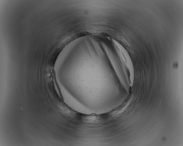 X0000099500237200806121422