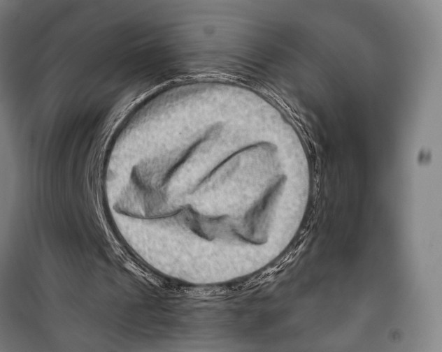 X0000099500241200806121422