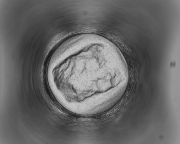 X0000099500242200806121422