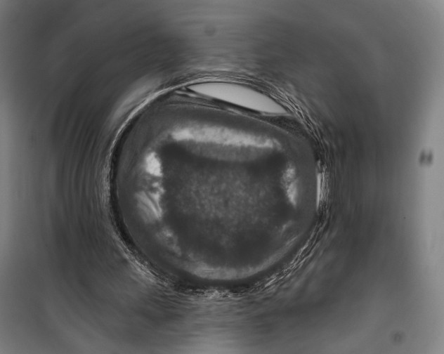 X0000099500243200806121422