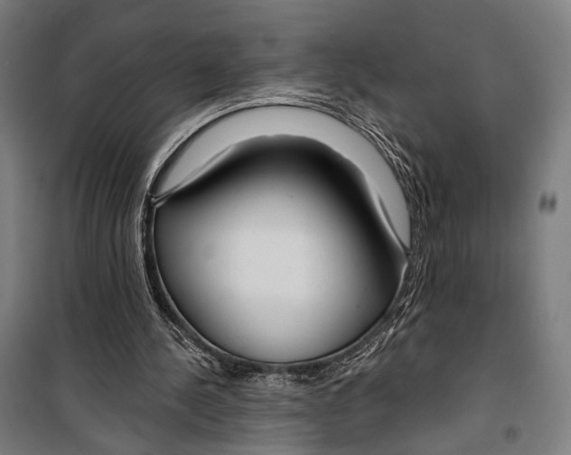 X0000099500244200806121422