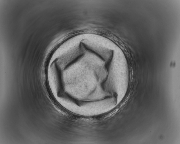 X0000099500245200806121422