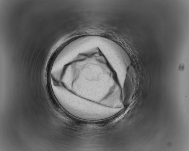 X0000099500246200806121422