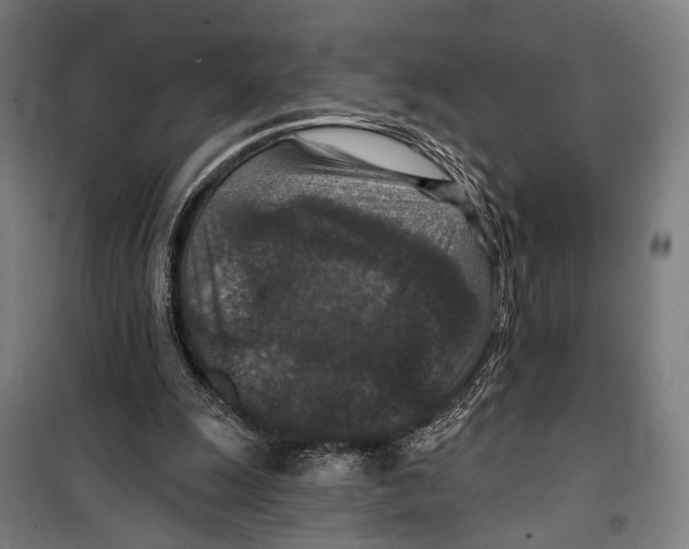 X0000099500247200806121422