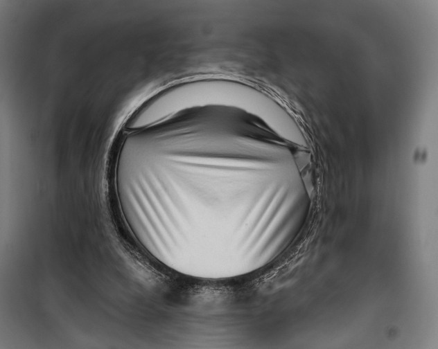 X0000099500248200806121422