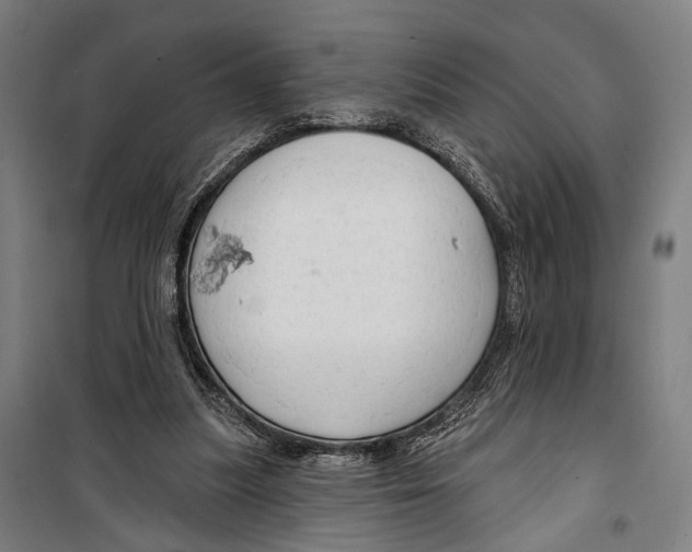 X0000099500251200806121422