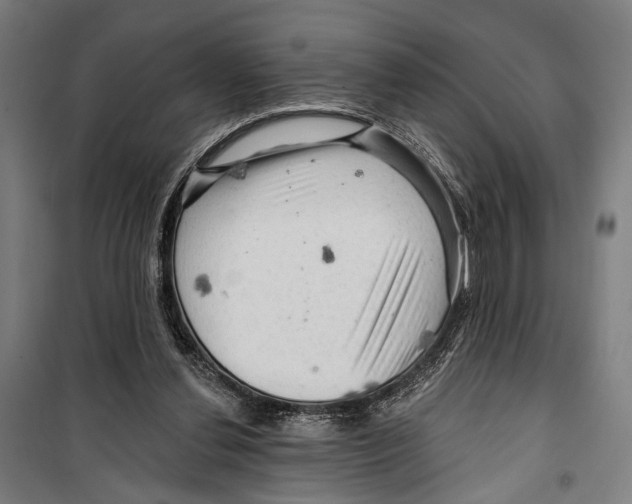 X0000099500252200806121422