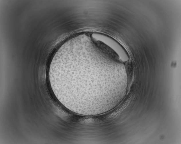 X0000099500253200806121422