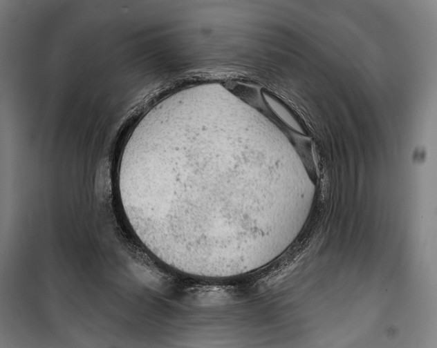 X0000099500254200806121422