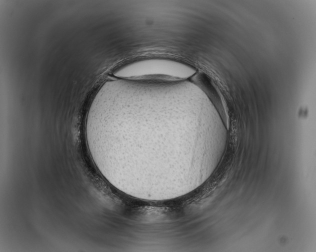 X0000099500255200806121422