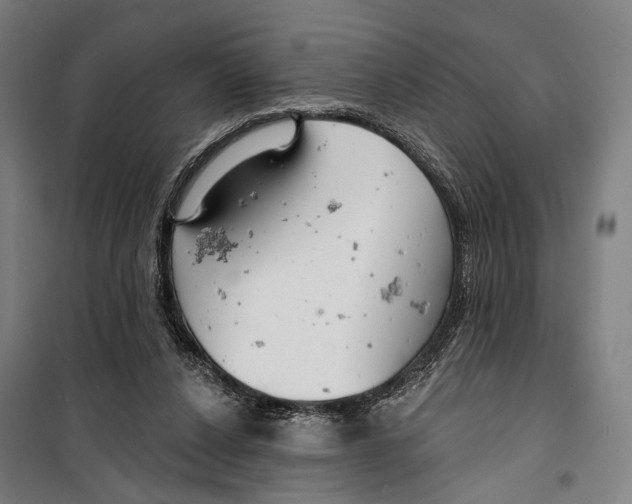 X0000099500256200806121422