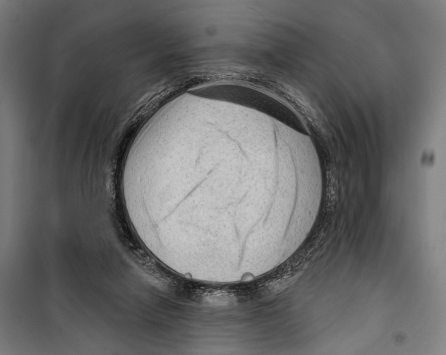 X0000099500258200806121422