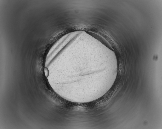 X0000099500259200806121422