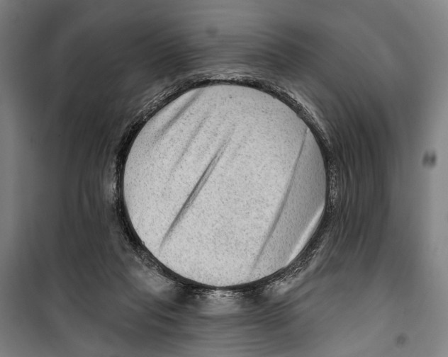 X0000099500261200806121422