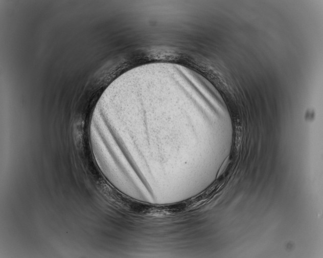 X0000099500263200806121422