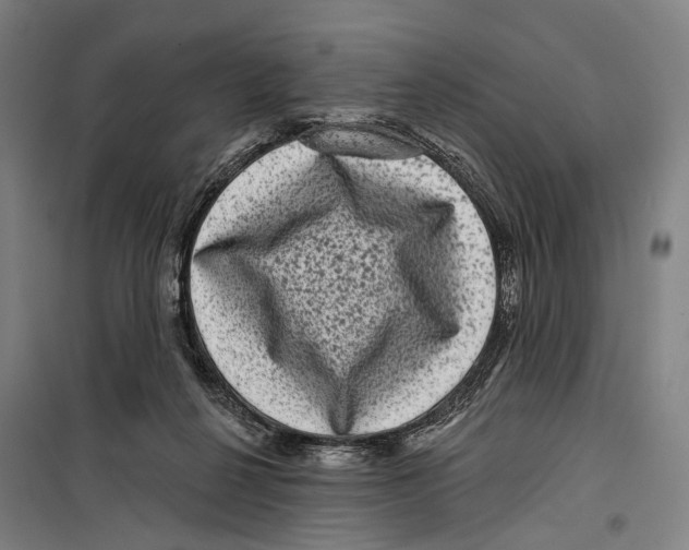 X0000099500264200806121422