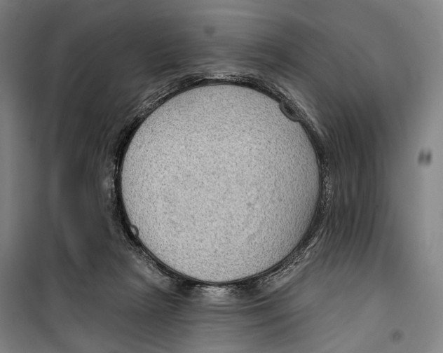 X0000099500265200806121422