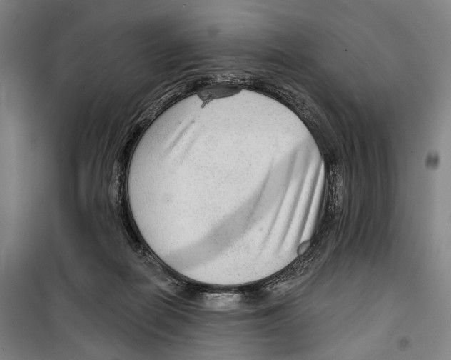 X0000099500266200806121422