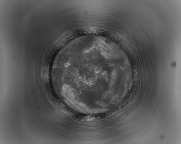 X0000099500267200806121422