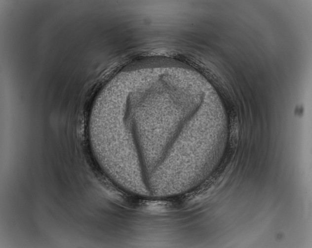 X0000099500268200806121422