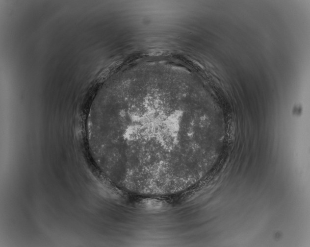 X0000099500272200806121422