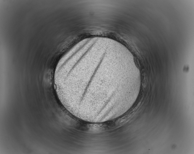 X0000099500273200806121422