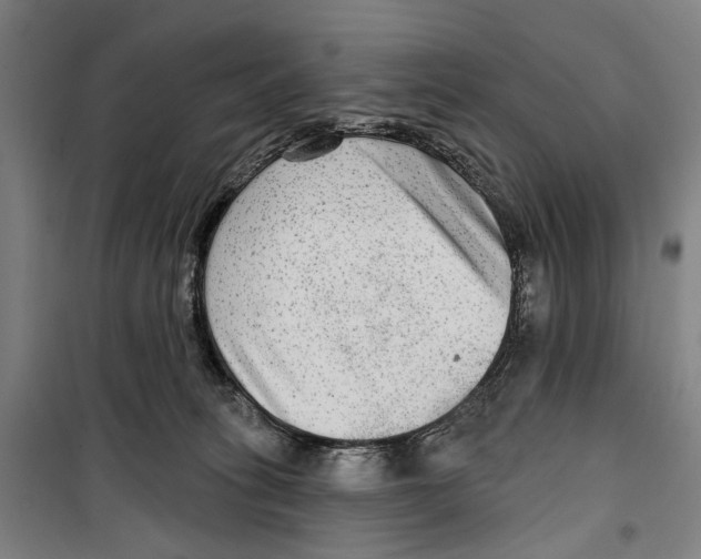 X0000099500275200806121422