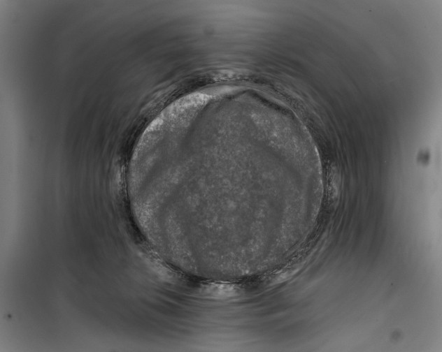 X0000099500276200806121422