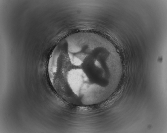 X0000099500277200806121422