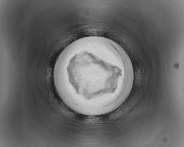 X0000099500278200806121422