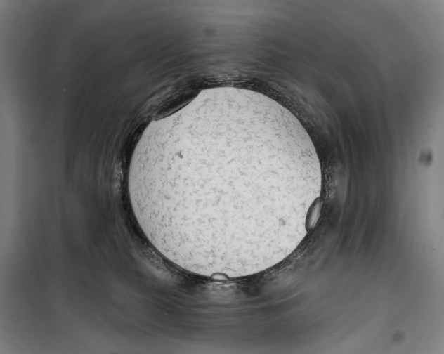 X0000099500279200806121422