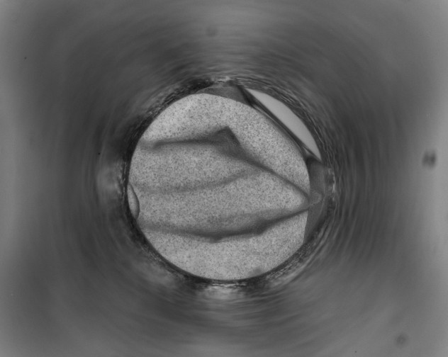 X0000099500280200806121422