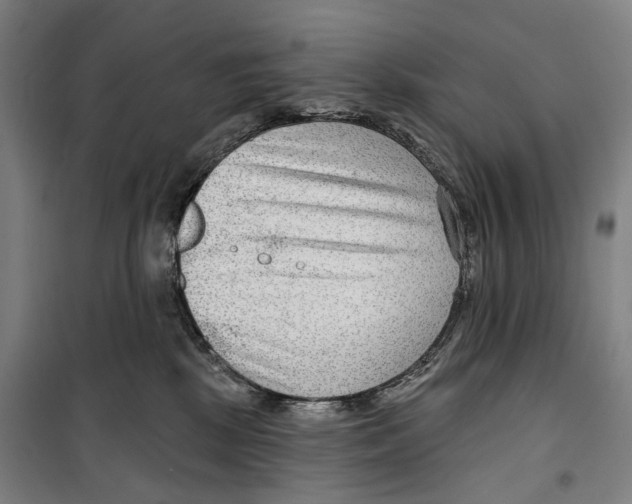 X0000099500281200806121422