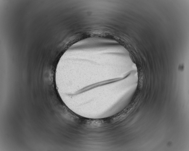 X0000099500282200806121422