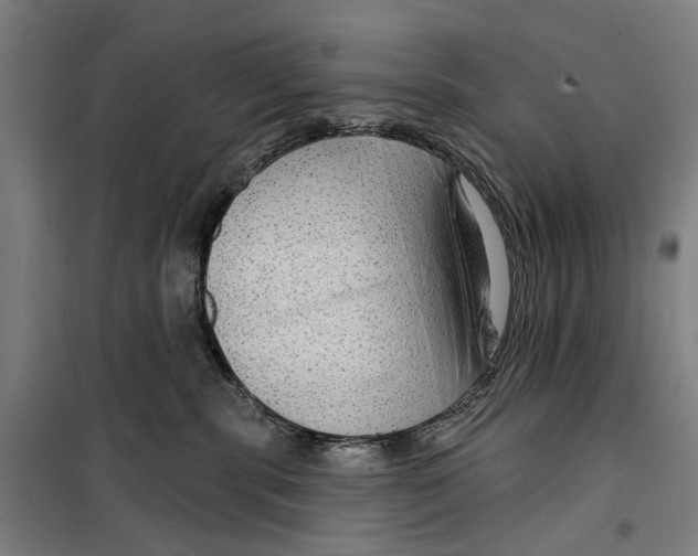 X0000099500283200806121422