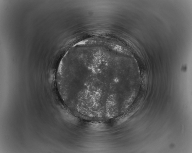 X0000099500284200806121422