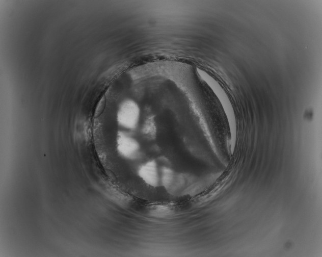 X0000099500285200806121422