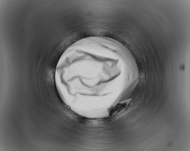 X0000099500286200806121422