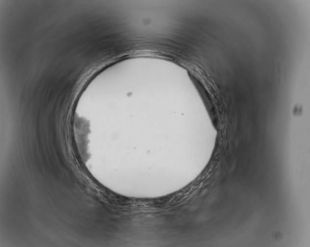 X0000099500289200806121422