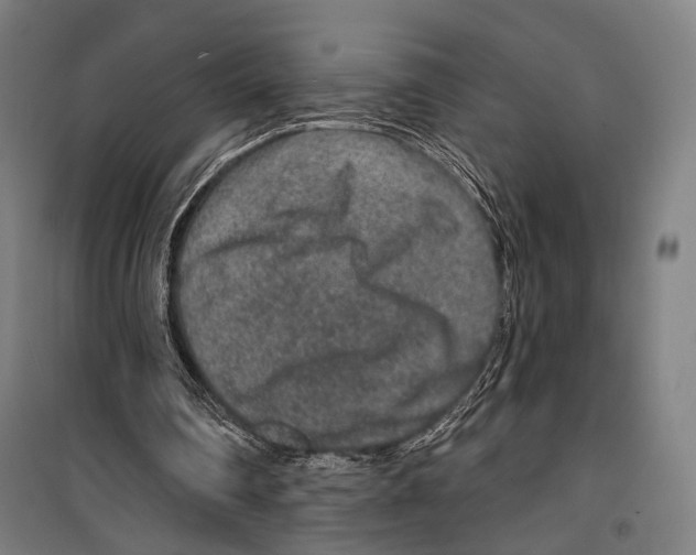 X0000099500290200806121422