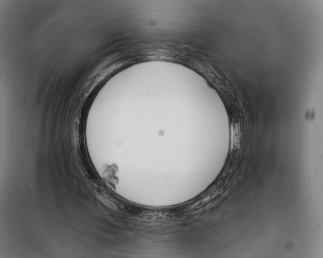 X0000099500291200806121422