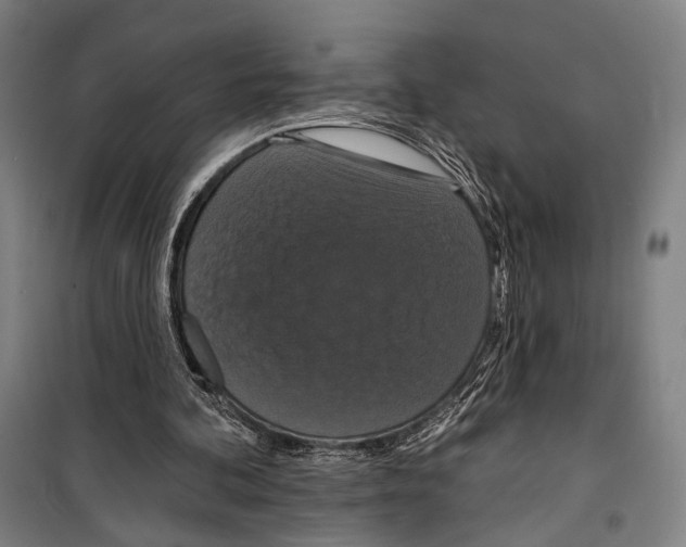 X0000099500292200806121422