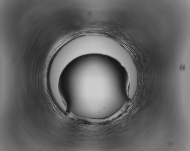 X0000099500293200806121422