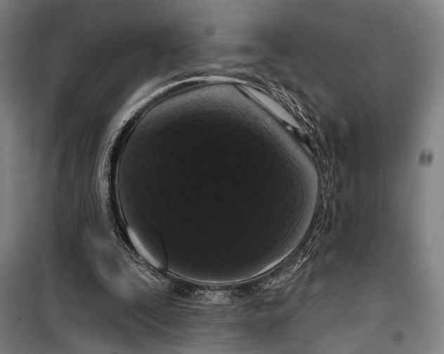 X0000099500295200806121422